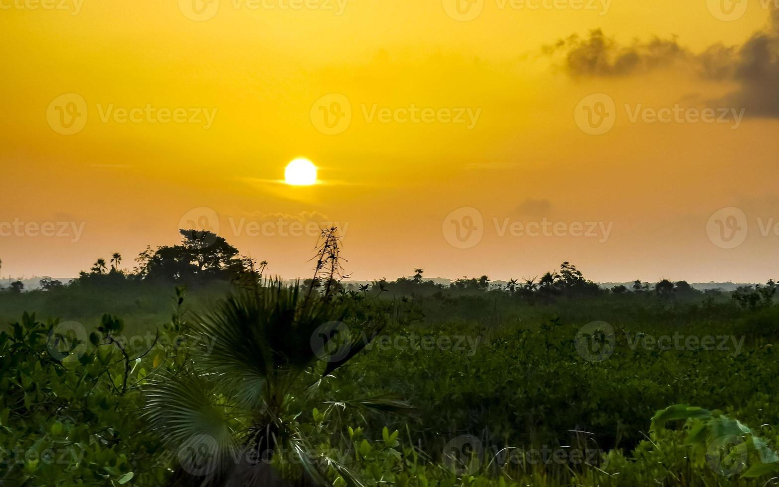 Amazing colorful pink purple sunrise sunset Playa del Carmen Mexico. photo