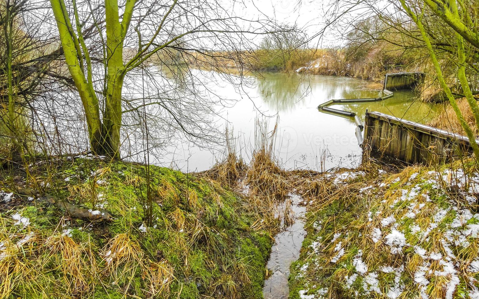 Frozen river stream pond lake cold nature forest environment Germany. photo