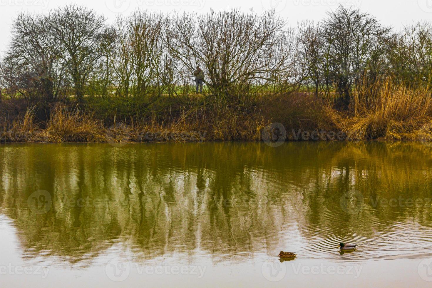 Frozen river stream pond lake cold nature forest environment Germany. photo