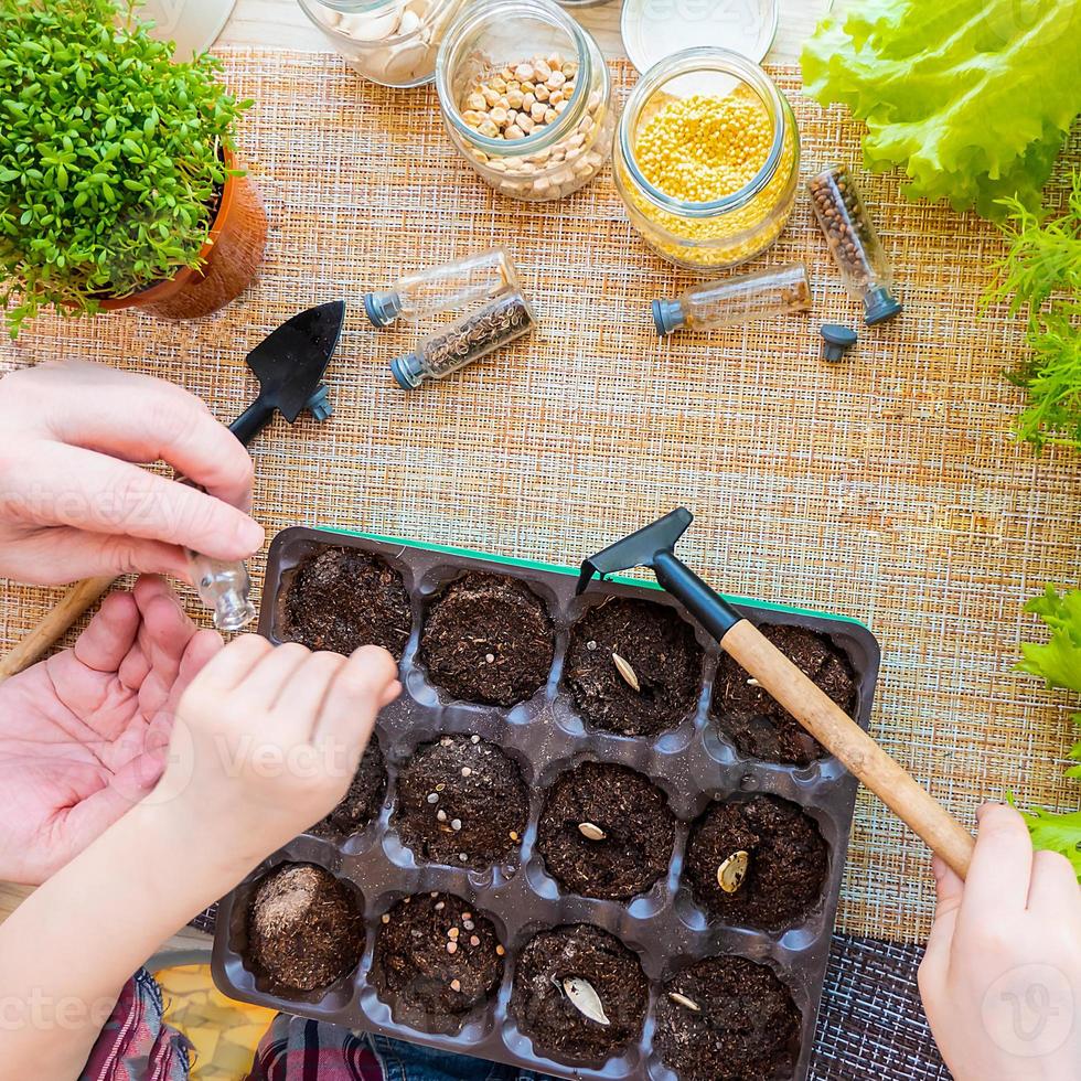 las macetas de turba, las herramientas y el suelo están listos para plantar semillas. cultivo de plántulas para jardinería. endecha plana con manos de bebé foto