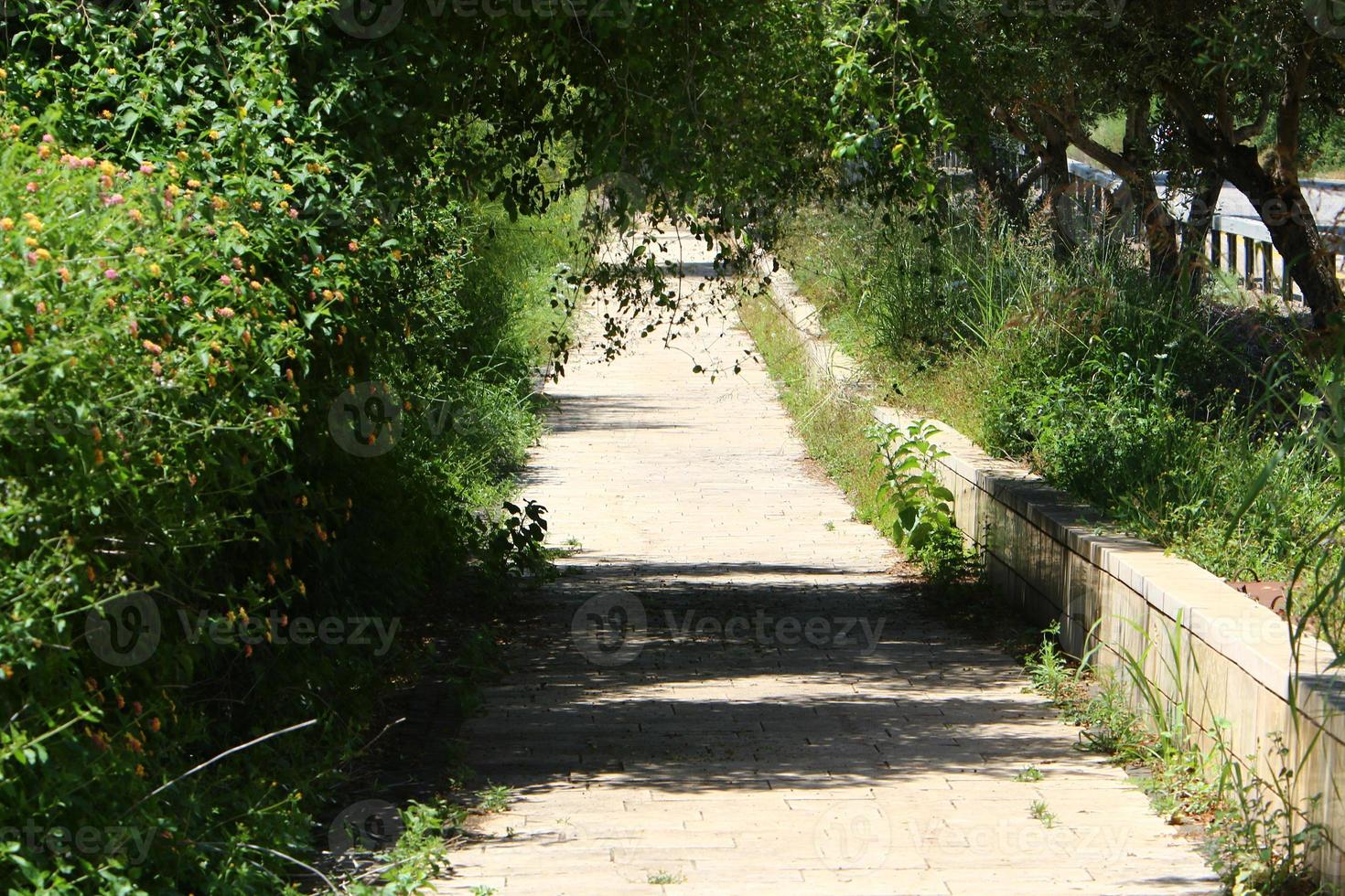 Pedestrian road in the city park on the seashore. photo