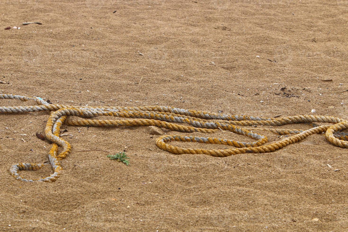 Hemp rope with buoys on the city beach photo