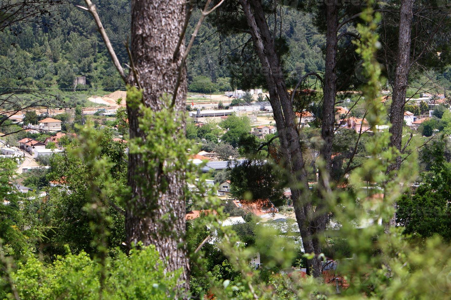 paisaje en un pequeño pueblo en el norte de israel. foto