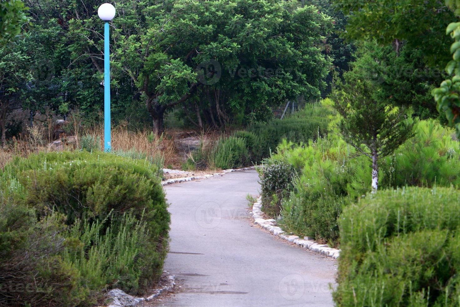 Pedestrian road in the city park on the seashore. photo