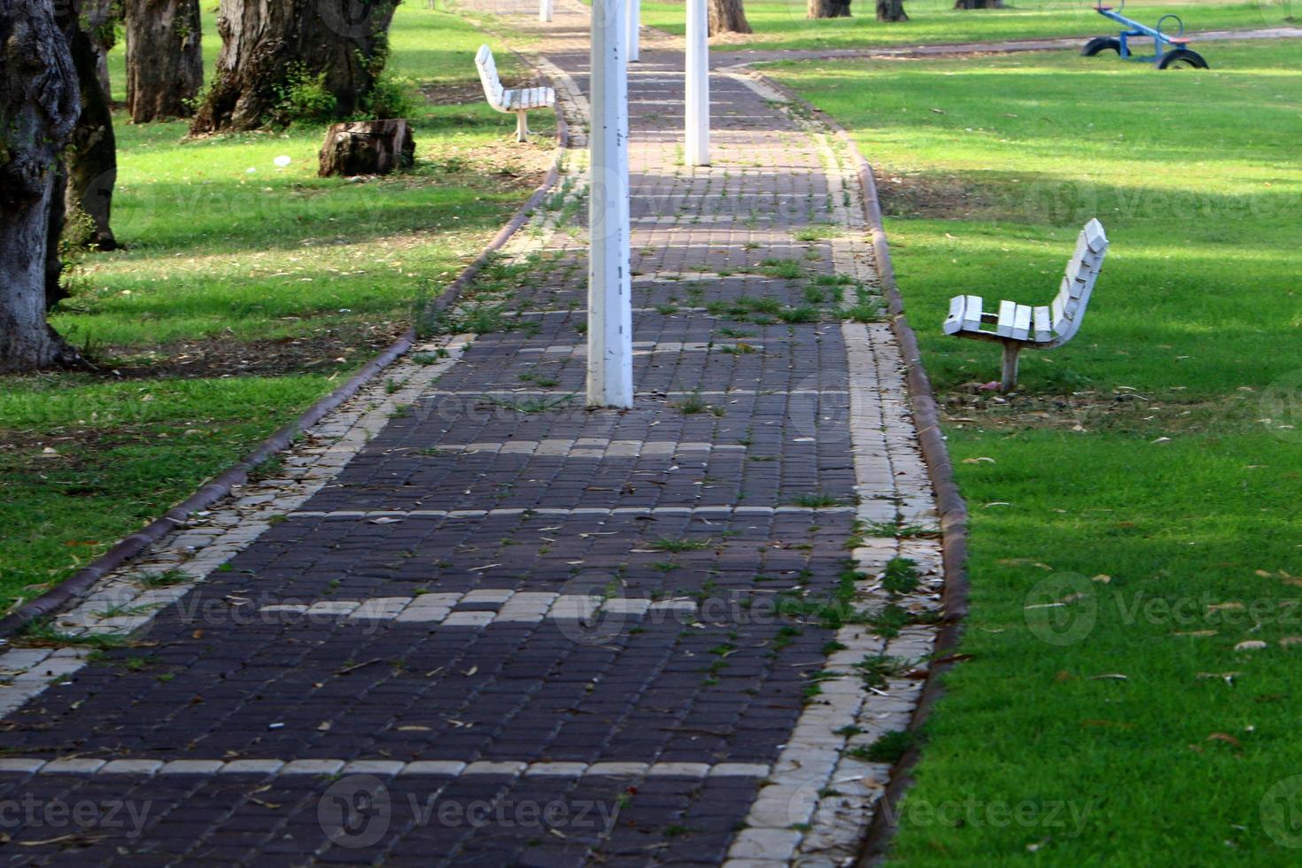 Pedestrian road in the city park on the seashore. photo