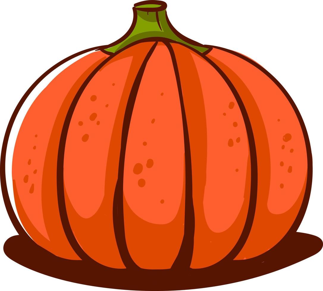 Beautiful pumpkin, illustration, vector on white background