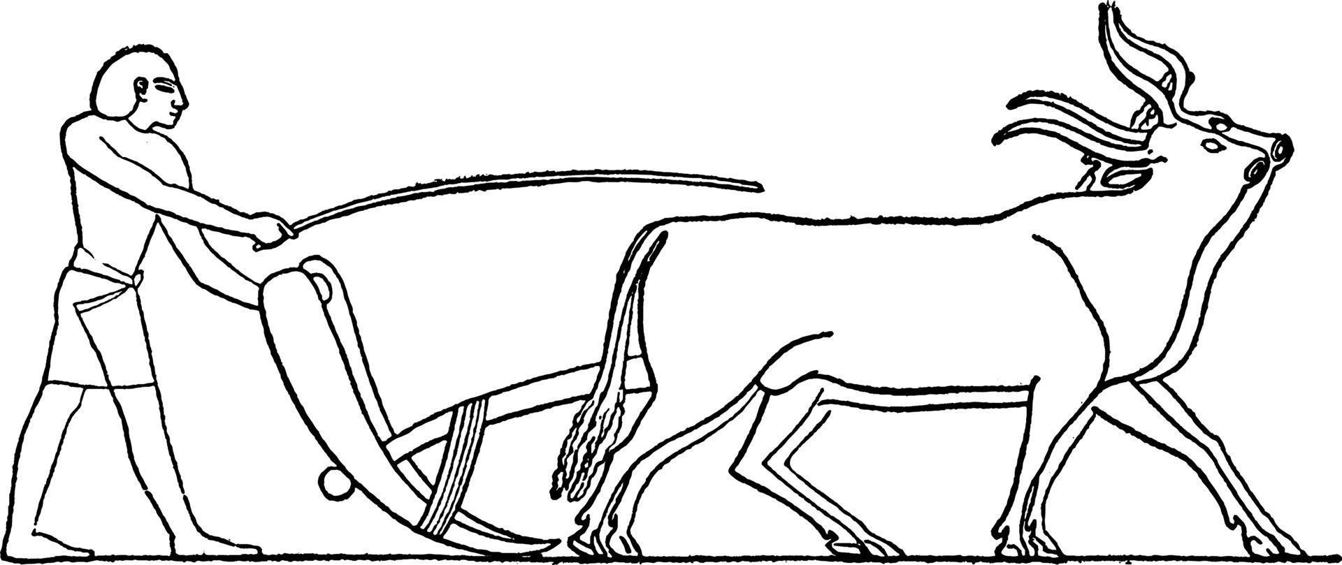 Плуг в древнем египте. Земледельцы древнего египта часто запрягали в плуг. Земледельцы древнего египта. Земледелие в египте. Античная греческая роспись пахарь.
