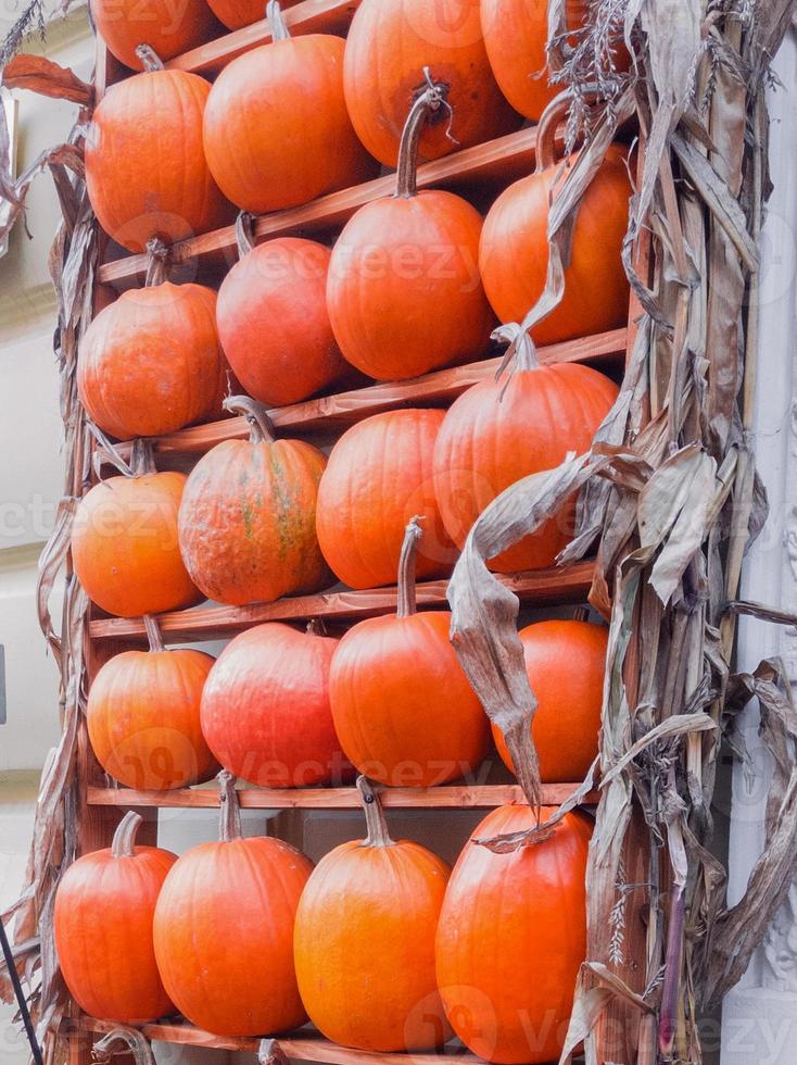 Beautifully decorated with pumpkins wooden shelves showcase shop or cafe photo