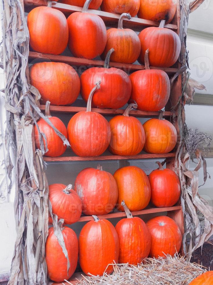 Beautifully decorated with pumpkins wooden shelves showcase shop or cafe photo