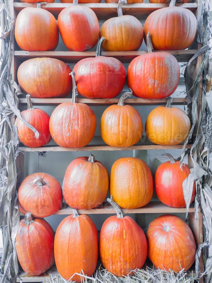 Beautifully decorated with pumpkins wooden shelves showcase shop or cafe photo