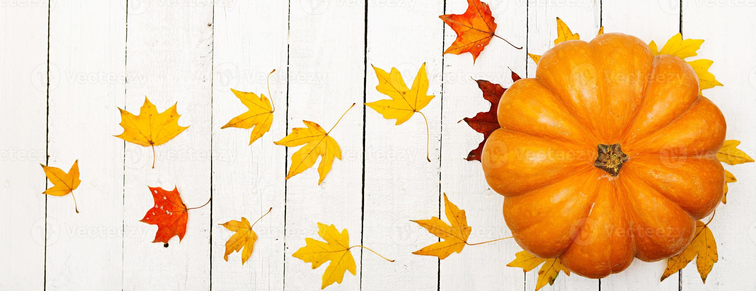 Thanksgiving background. Pumpkins and fallen leaves on white wooden background.  Halloween or Thanksgiving day or seasonal autumnal.  Flat lay. Top view. Banner photo