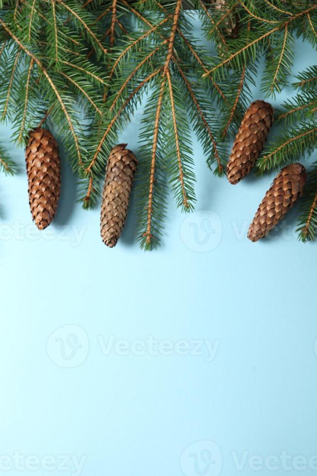 Merry Christmas and Happy Holidays greeting card, frame, banner. New Year. Pine tree branches on white. photo