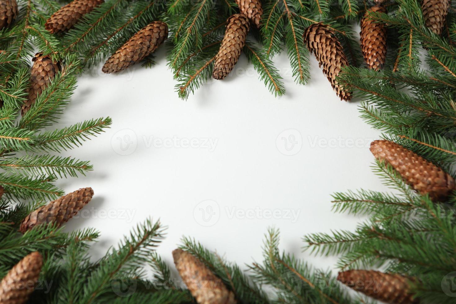 Merry Christmas and Happy Holidays greeting card, frame, banner. New Year. Pine tree branches on white. photo