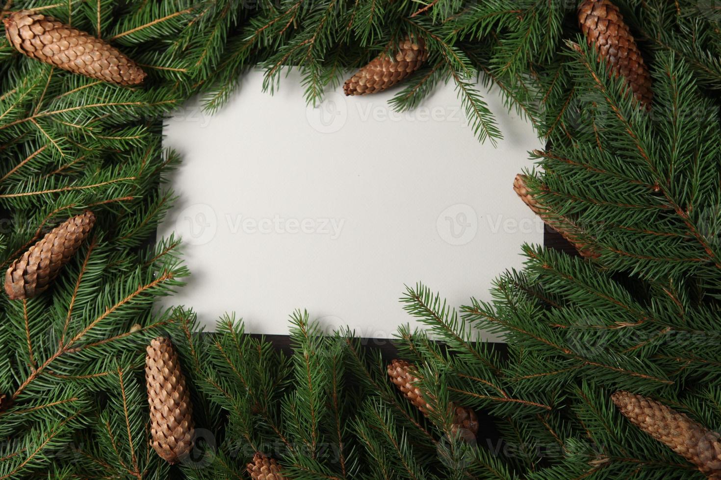 Merry Christmas and Happy Holidays greeting card, frame, banner. New Year. Pine tree branches on white. photo