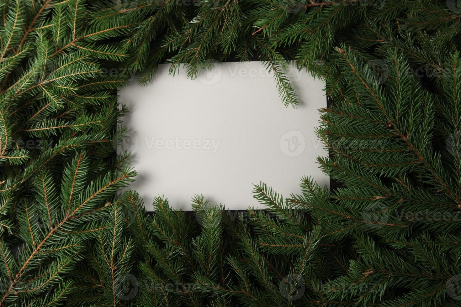 Merry Christmas and Happy Holidays greeting card, frame, banner. New Year. Pine tree branches on white. photo