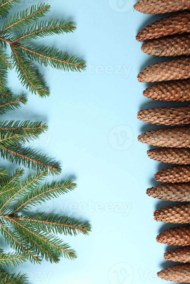 Merry Christmas and Happy Holidays greeting card, frame, banner. New Year. Pine tree branches on white. photo