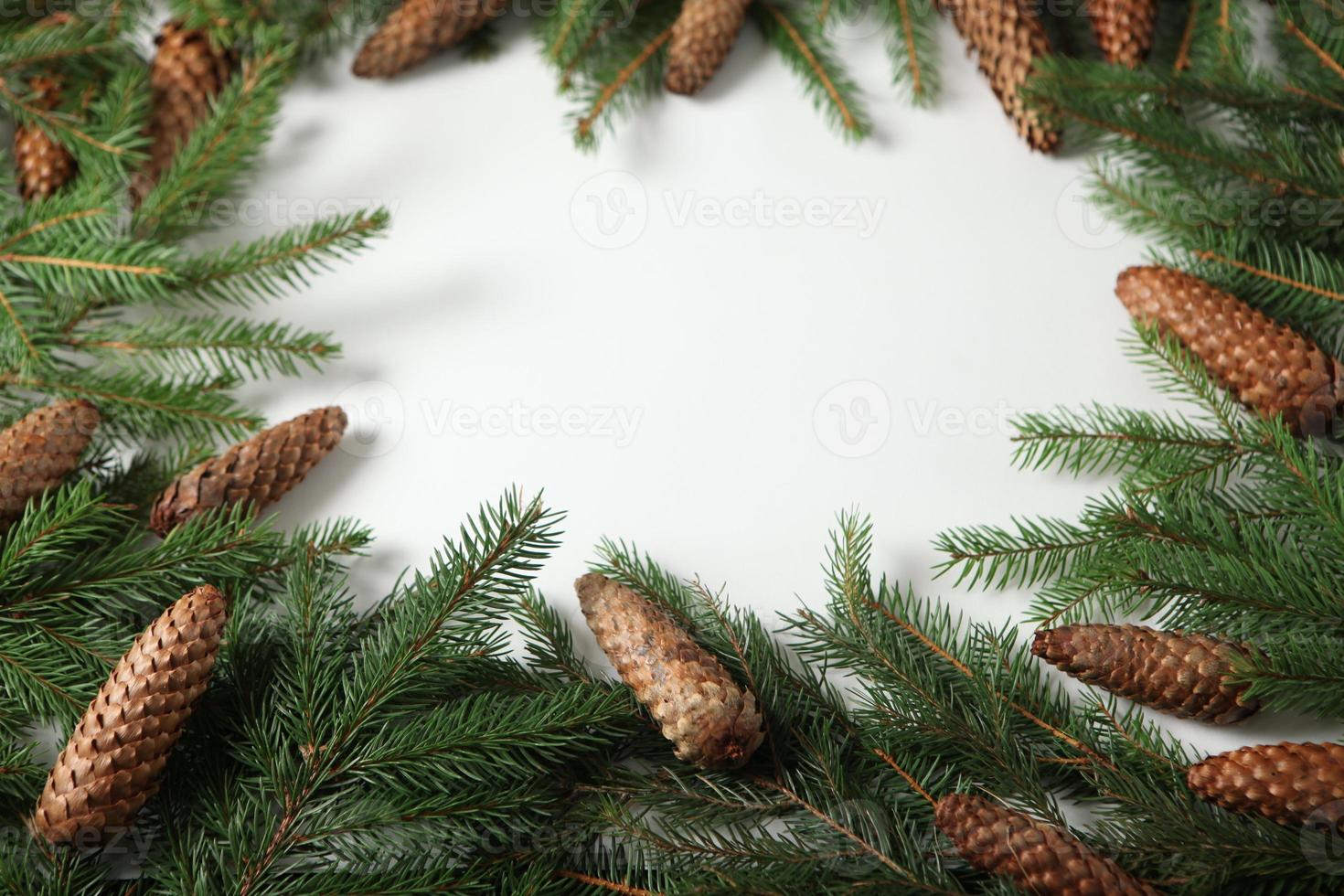 Merry Christmas and Happy Holidays greeting card, frame, banner. New Year. Pine tree branches on white. photo