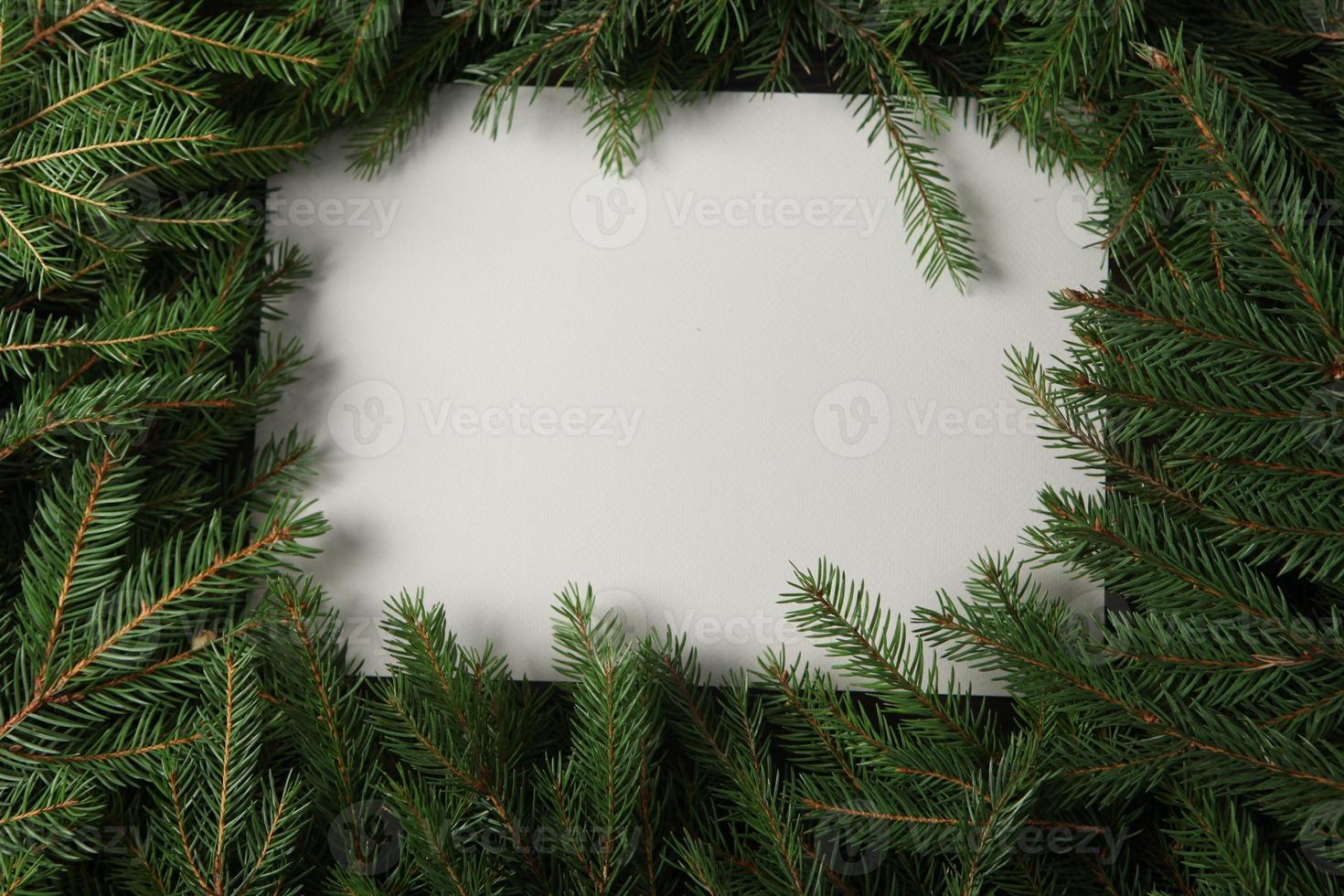 feliz navidad y felices fiestas tarjeta de felicitación, marco, pancarta. Año Nuevo. ramas de pino en blanco. foto