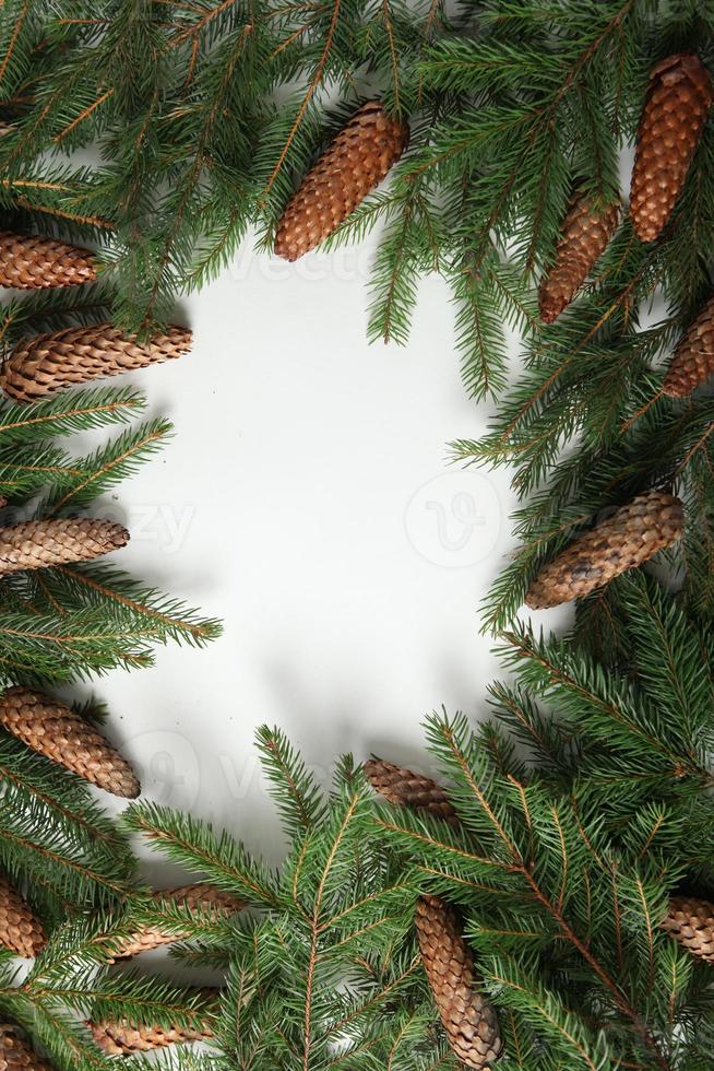 Merry Christmas and Happy Holidays greeting card, frame, banner. New Year. Pine tree branches on white. photo