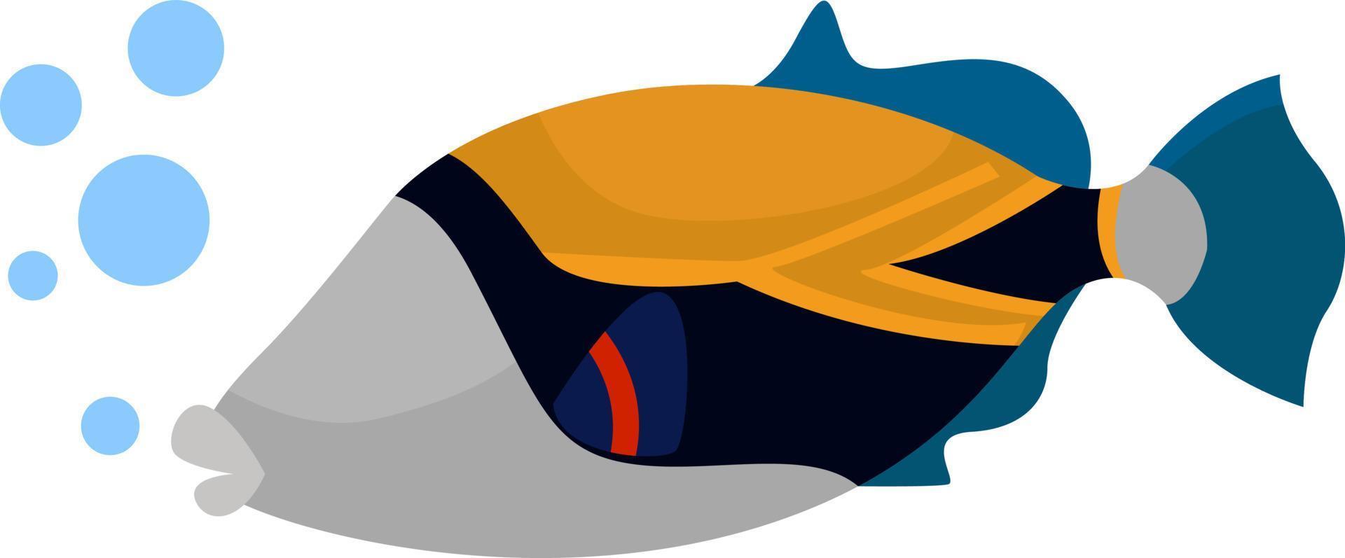 Reef triggerfish, illustration, vector on white background
