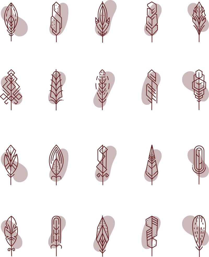 Abstract feathers, illustration, vector, on a white background. vector