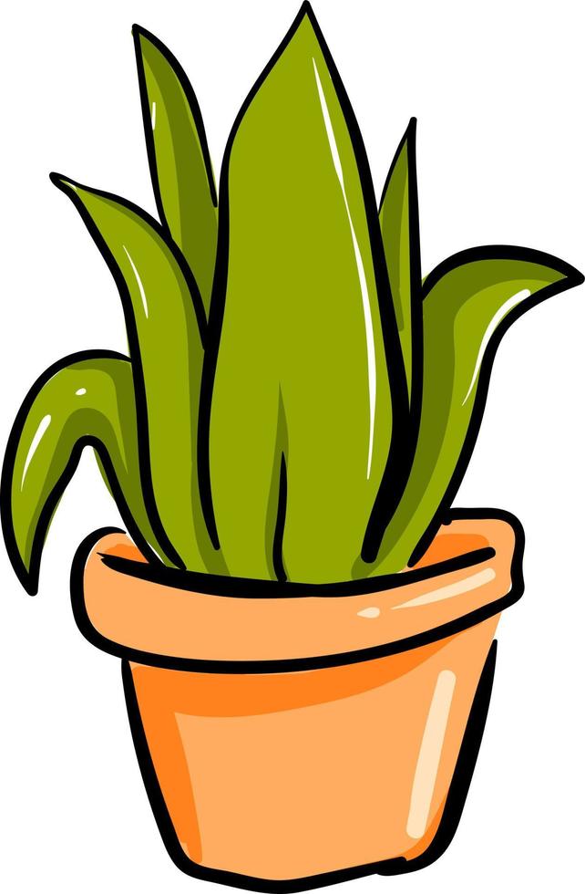 Plant in orange pot, illustration, vector on white background.