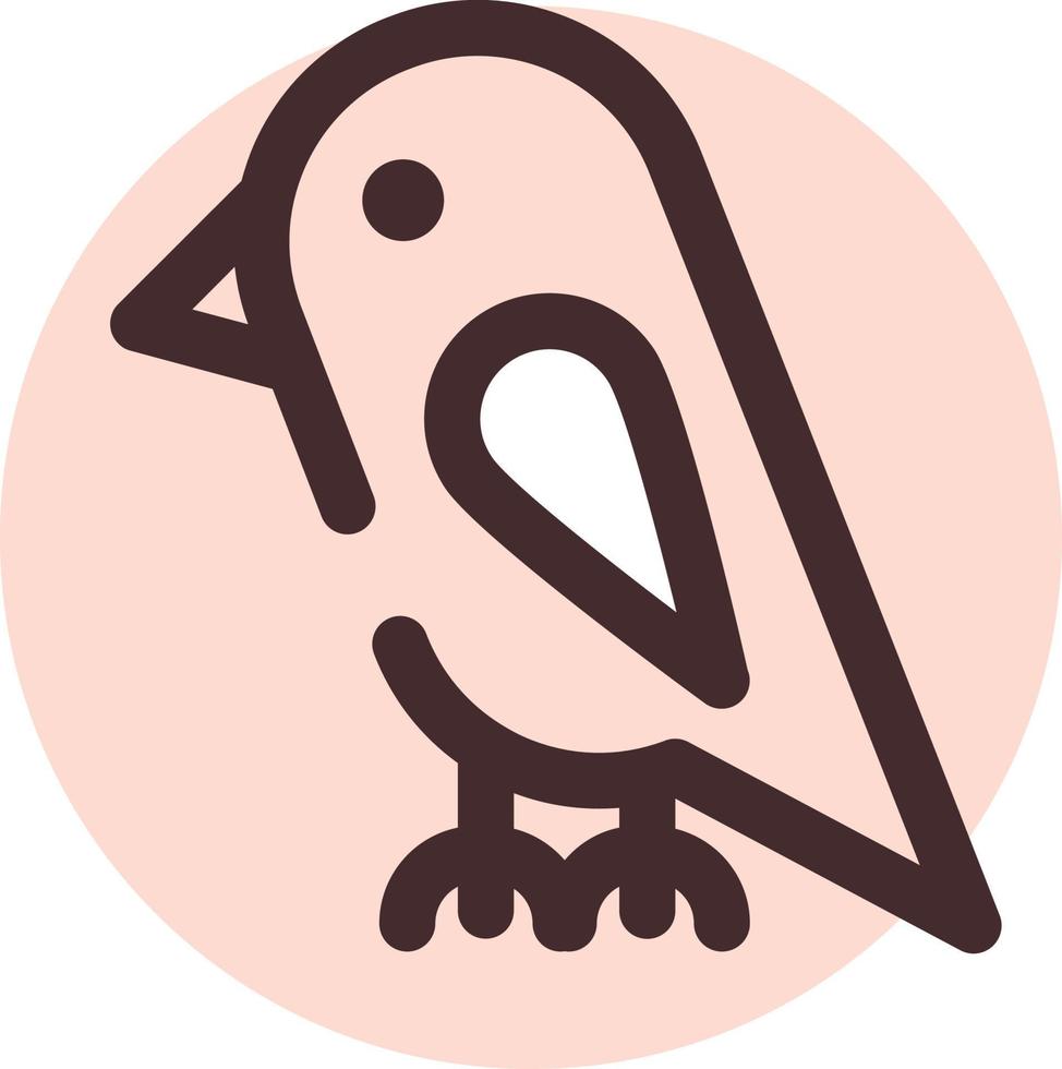 Pet parrot, illustration, vector on a white background.