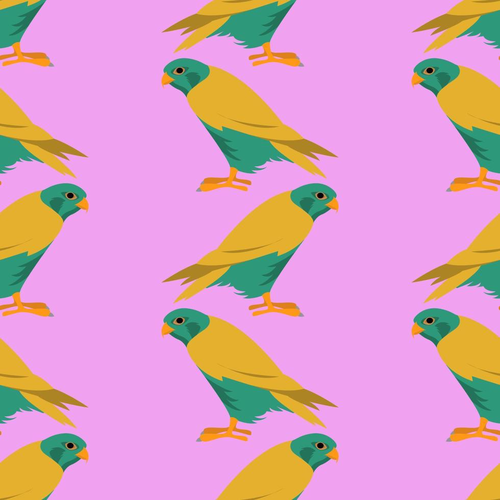 Colorful birds pattern, illustration, vector on white background