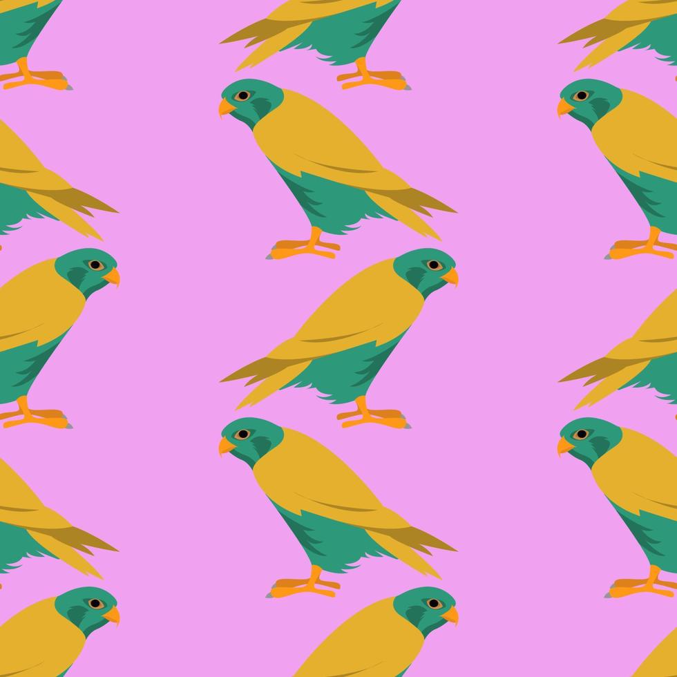 Colorful birds pattern, illustration, vector on white background