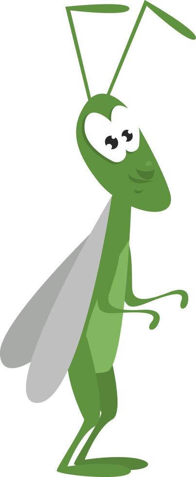 Green grasshopper ,illustration,vector on white background vector