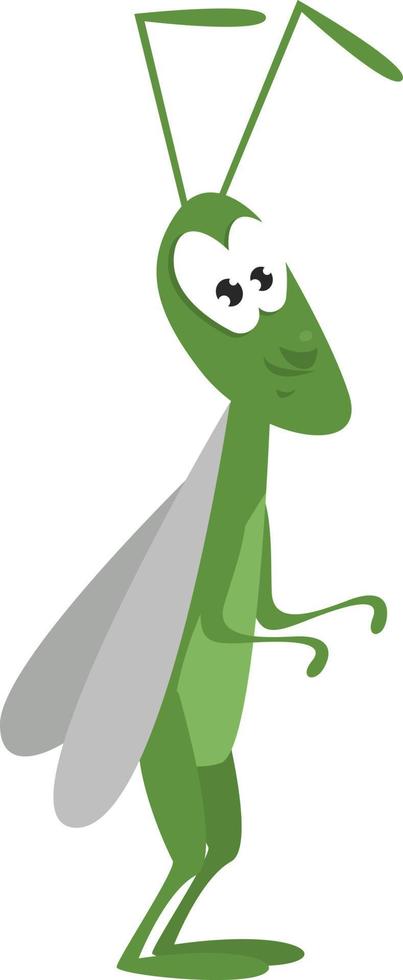 saltamontes verde, ilustración, vector sobre fondo blanco