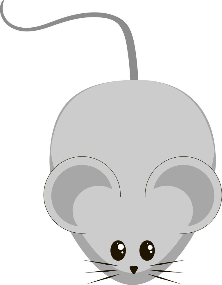 Cute little mouse, illustration, vector on white background.