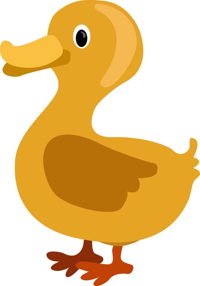 Brown duck, illustration, vector on white background.