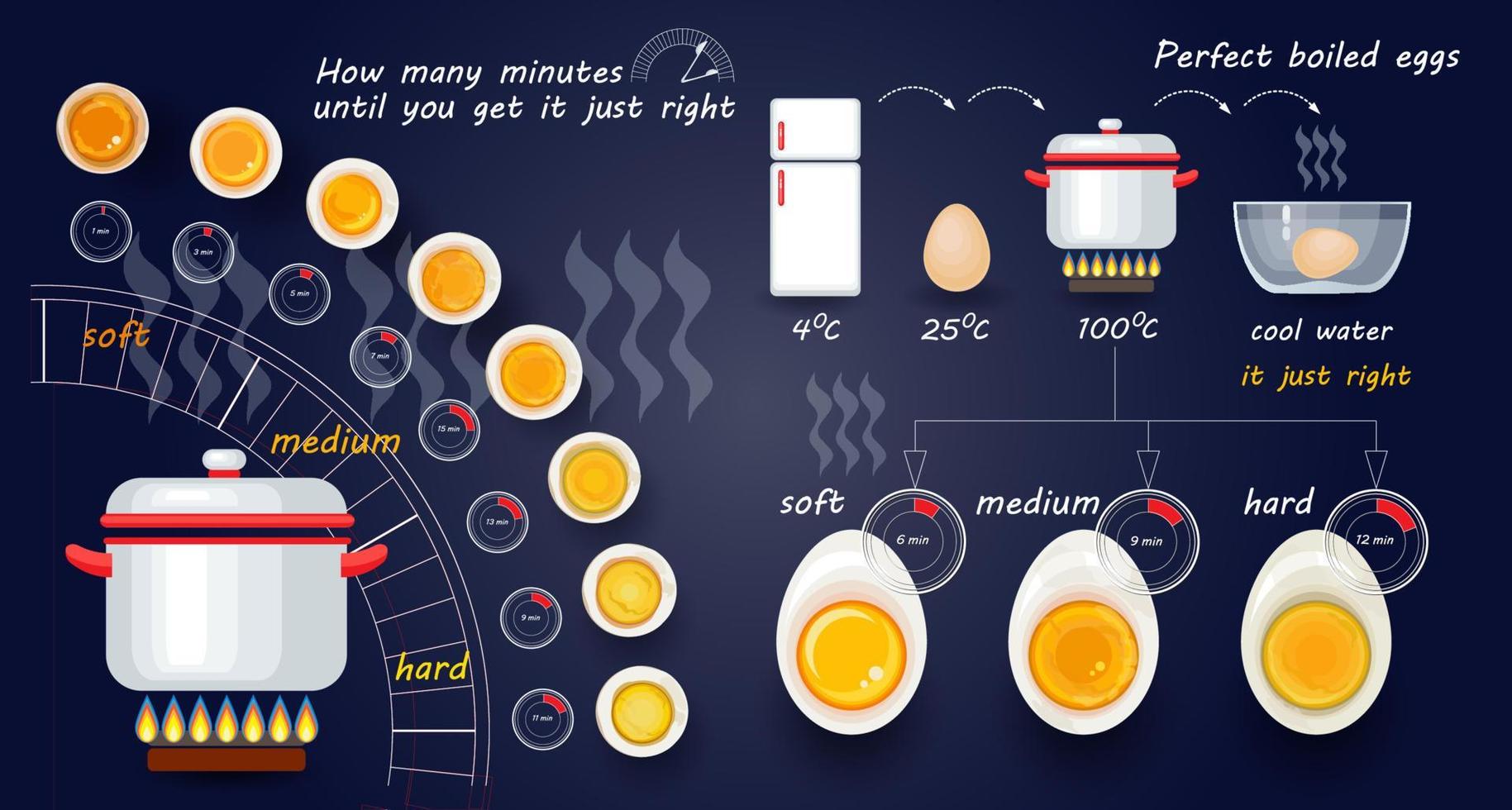 Vector illustration with set of varying degrees of egg readiness.