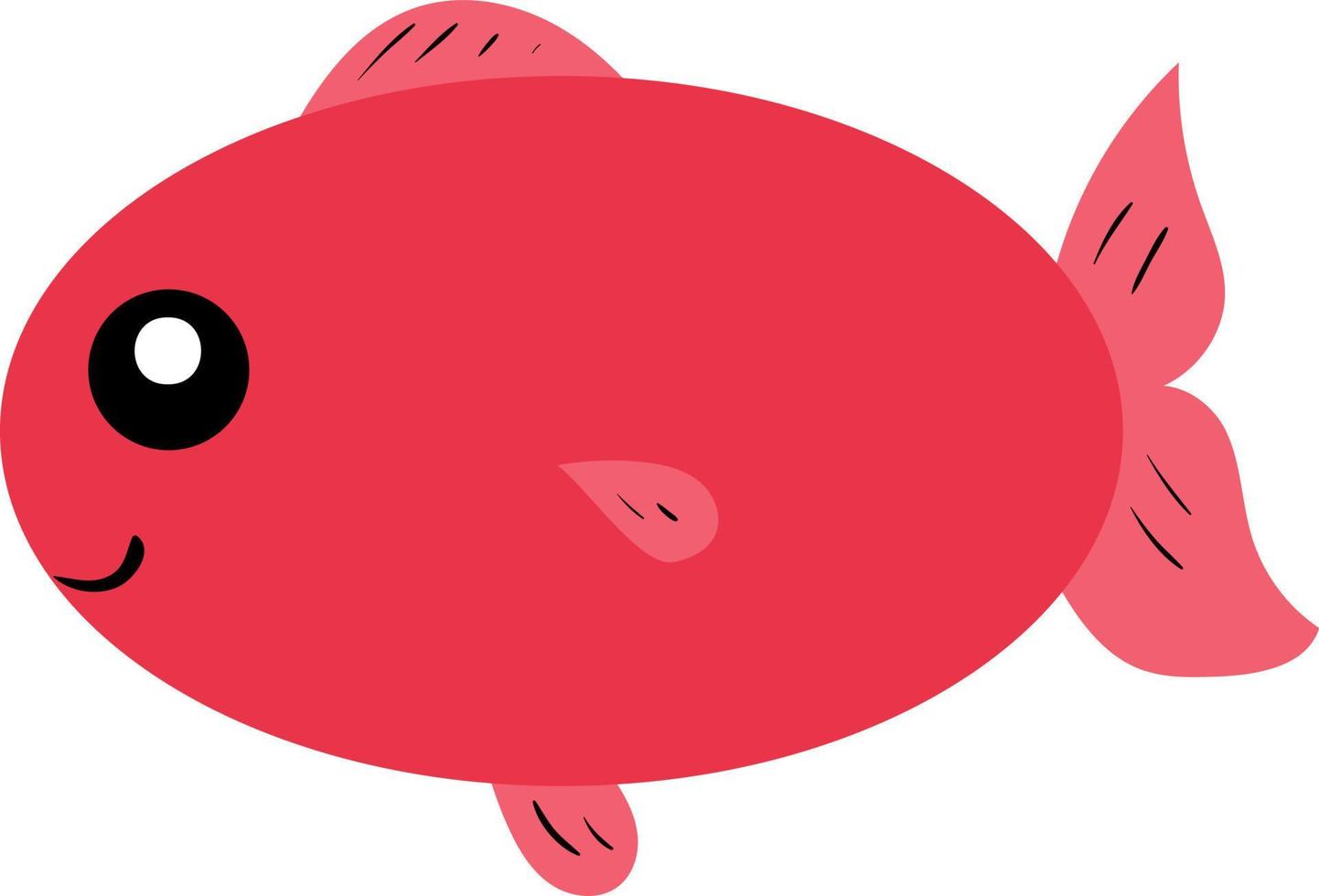 Red fish, illustration, vector on white background.