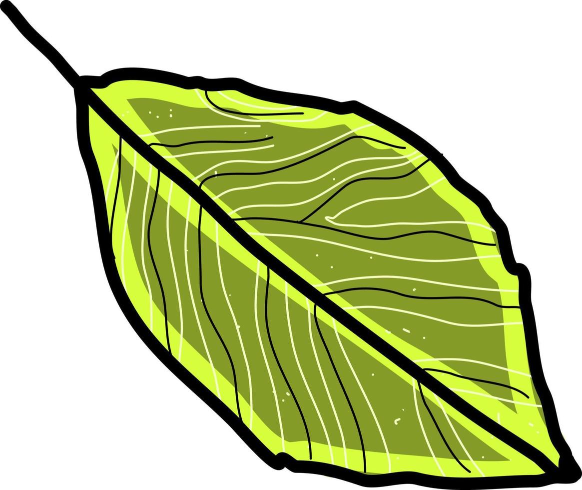 Hoja de árbol verde, ilustración, vector sobre fondo blanco.