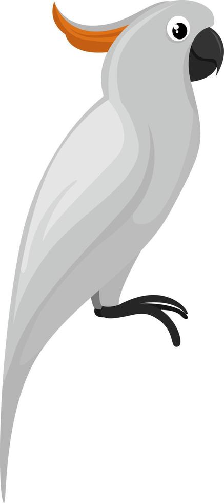 cacatúa blanca, ilustración, vector sobre fondo blanco