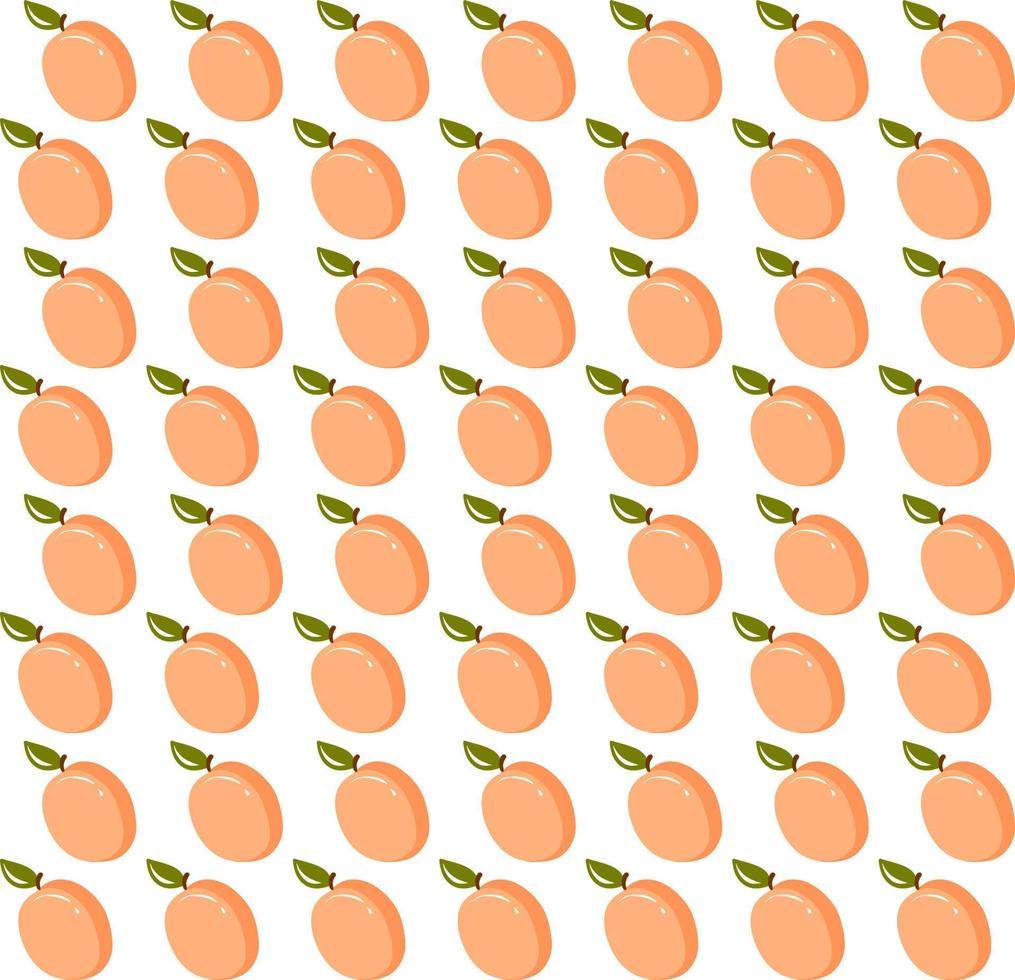 Apricot wallpaper, illustration, vector on white background.