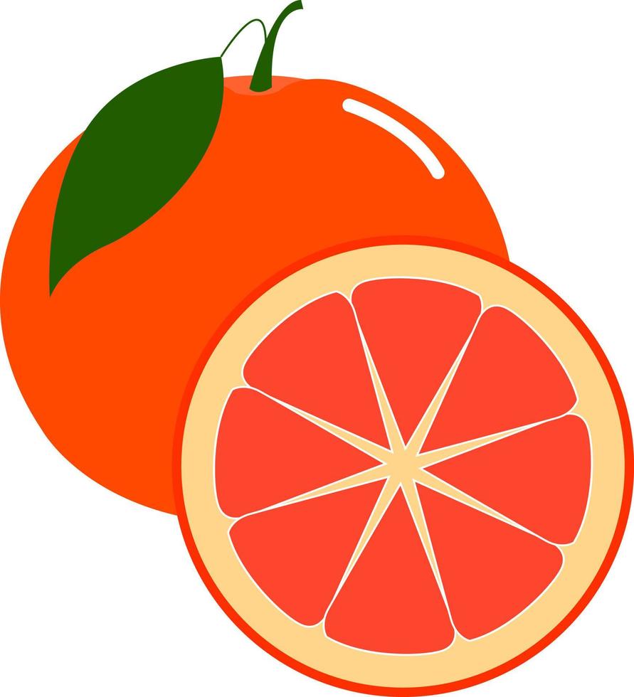 Fresh grapefruit, illustration, vector on white background.