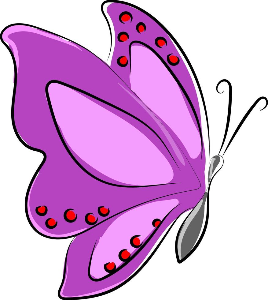 mariposa púrpura, ilustración, vector sobre fondo blanco.