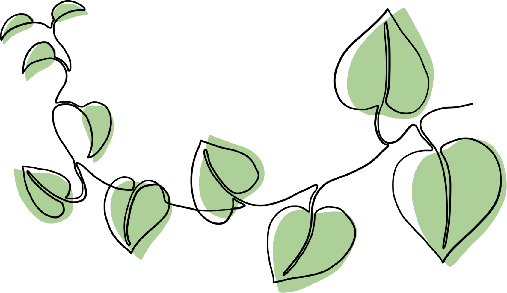 simplicity ivy continuous freehand drawing. png