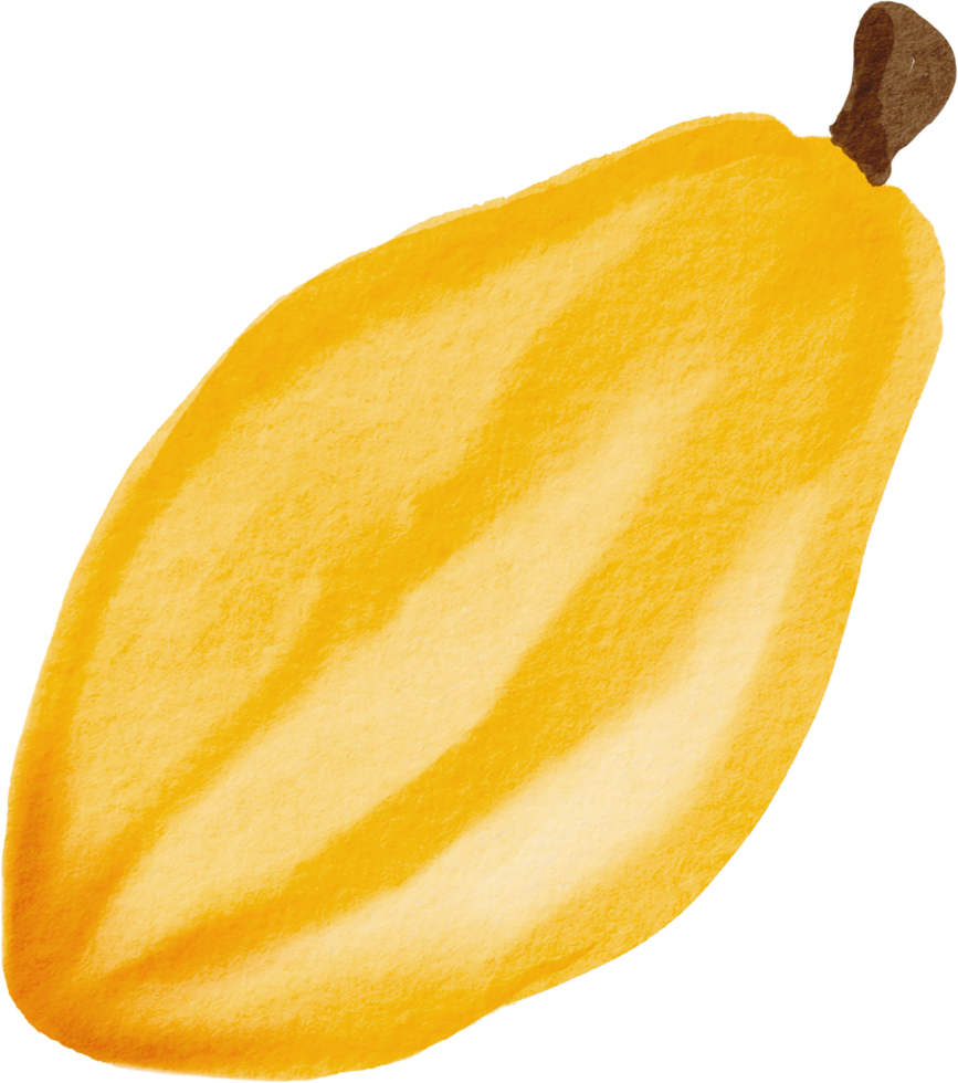 cutout cacao fruit simplicity watercolor painting. png