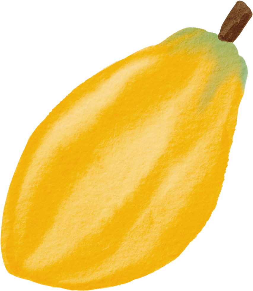 cutout cacao fruit simplicity watercolor painting. png