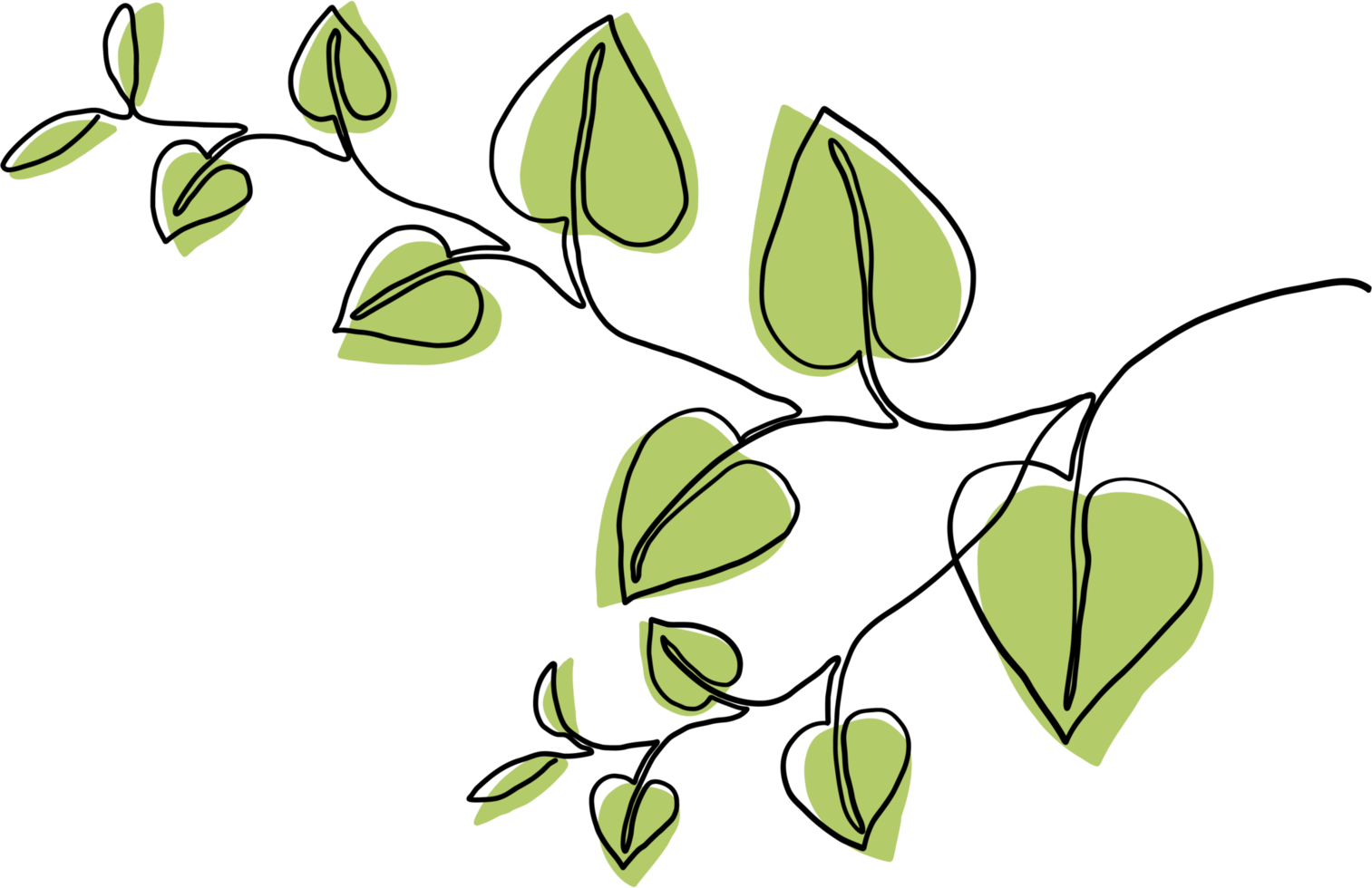 simplicity ivy continuous freehand drawing. png