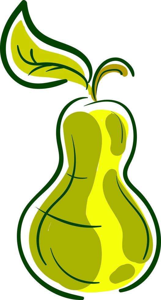 A green pear, vector or color illustration.