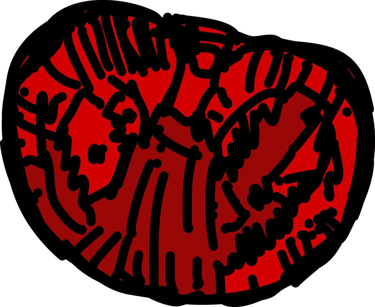 Tomato sketch, illustration, vector on white background.