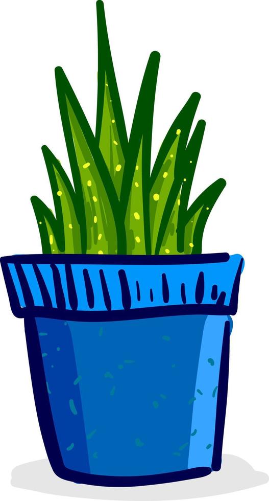 Plant in blue pot, vector or color illustration.