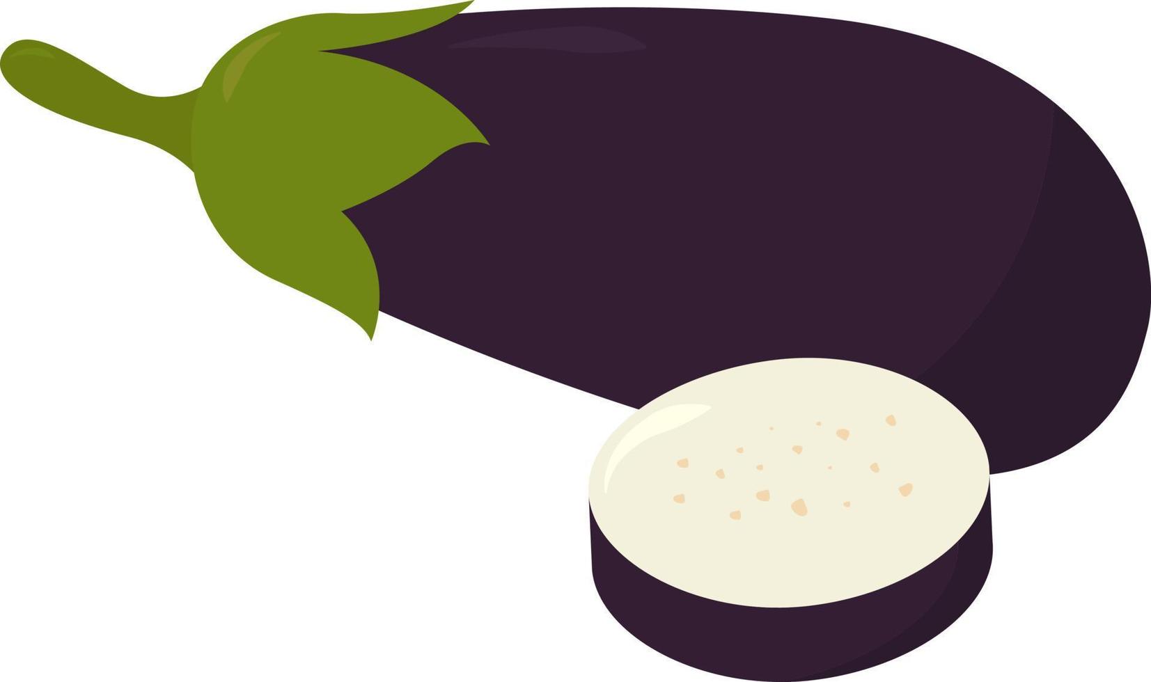 Eggplant cut in slice ,illustration,vector on white background vector