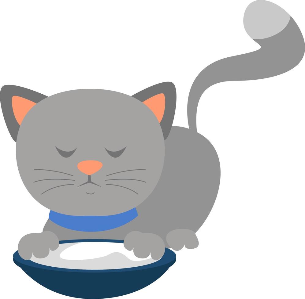 Grey cat, illustration, vector on white background.