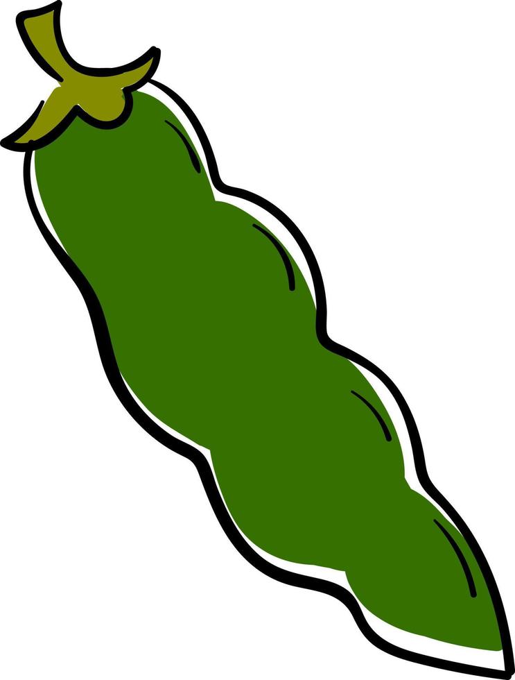 Green bean, illustration, vector on white background.